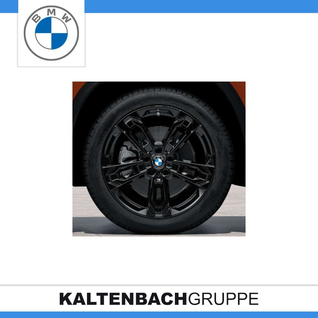 Doppelspeiche 871.jpg